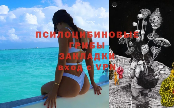 ALPHA PVP Баксан