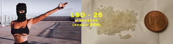 ГАЛЛЮЦИНОГЕННЫЕ ГРИБЫ Балахна