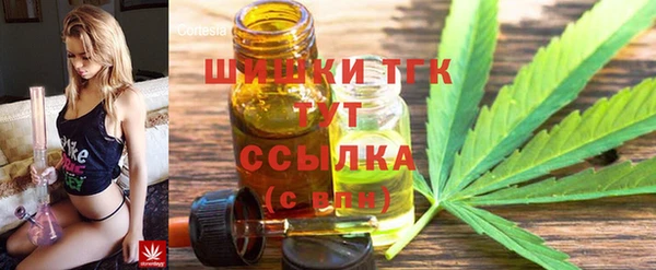 ГАЛЛЮЦИНОГЕННЫЕ ГРИБЫ Балахна