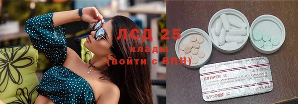 ГАЛЛЮЦИНОГЕННЫЕ ГРИБЫ Балахна