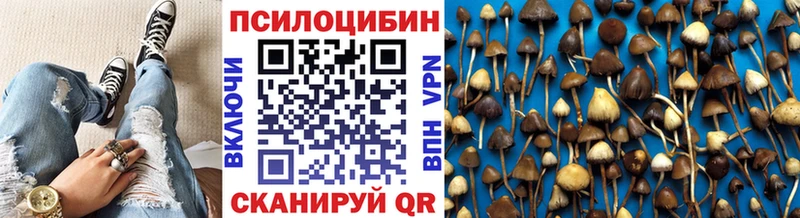 Галлюциногенные грибы GOLDEN TEACHER  мега как войти  Балахна  купить наркотик 